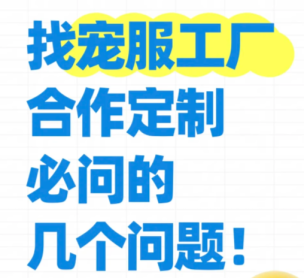 宠物毛衣小单定制合作指南：避免弯路的关键问题清单